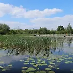 Lakeside House In *
