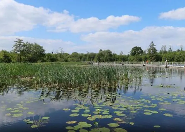 Lakeside House In *